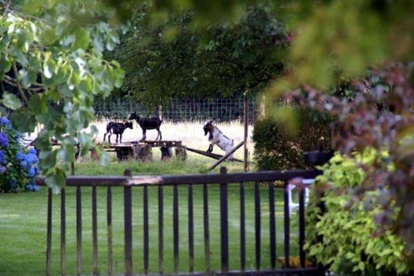 Rosporden Les Pieds Dans L'Herbe المظهر الخارجي الصورة