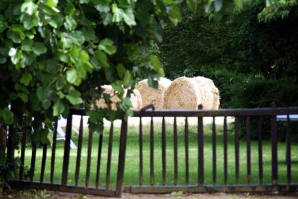 مبيت وإفطار Rosporden Les Pieds Dans L'Herbe المظهر الخارجي الصورة